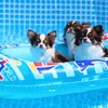 楽しい夏休みですヾ(＠⌒ー⌒＠)ノ