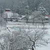 埴原城は雪の中　桜満開は未だでしょう。（過去の日記記事）