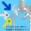 股関節をはめる方向は？