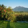 9月23日の岩木山