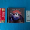 2022年買った①:Out in the Fields- The Very Best Of/Gary Moore