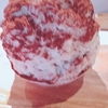 有名かき氷店「yelo（イエロ）」のかき氷食レポ「ティラミス」