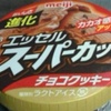 チョコクッキーアイスクリーム