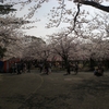 世の中に絶えて桜のなかりせば春の心はのどけからまし　（在原業平）