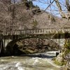 (旧) 岩手県道15号一戸葛巻線 尻高橋 (2024. 3. 31.)