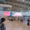 プリンセスジュリアナ空港入国の手順を解説！セントマーチンの行き方ガイド