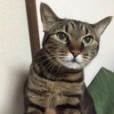 謎の人雑記