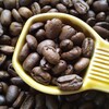 コーヒー焙煎 スラウエシ ママサ プレミアム