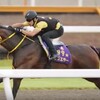 【ローズステークス記念追い切り調教】 桜花賞馬ジュエラー　パワフルな末脚で１馬身半先着「骨折の影響は全く感じない」 「競馬レース結果ハイライト」2016年≪競馬場の達人,競馬予想≫競馬調教