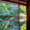 【八瀬】京都結婚記念日旅行〔２１〕紅葉前の青紅葉が美しい『瑠璃光院』の庭を眺めて命を癒す【御朱印】