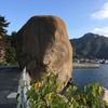 きらめく午後の海辺で：デイキャンプ
