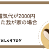 電気会社見直しがうさぎ飼いには必須！夏の電気代が2000円下がった我が家の場合