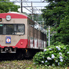 近江鉄道 2024　7/11-12