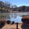 【横浜 公園】こども自然公園(大池公園)へ行こう！