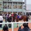 大井競馬場JBC観戦記③