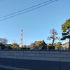 （巻四十三）世の中や踊る裸体［はだか］も年の暮(永井荷風)