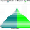 マレーシアの人口ピラミッド