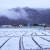 遅い初雪だ！