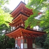 初夏の浄瑠璃寺
