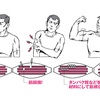 筋肉が増えるトレーニング頻度お伝えします！