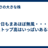 今日もまあほぼ無風・・・・ストップ高はいっぱいあるね
