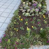 マンション花壇