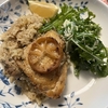 チキン煮込みご飯：新しい猫ベッド