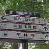 本多緑道1（埼玉県新座市）