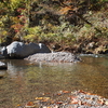 広い釣り場はスレにくい？　渓流と本流どちらが釣りやすい？