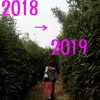 2018年を振り返って＆　2019年の抱負