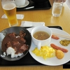 クロアチアへの出発時の成田空港で食べたJAL特製オリジナルビーフカレー