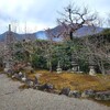 【京都】『天龍寺七福神めぐり』に行ってきました。 東向大黒天 弘源寺 節分