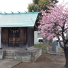 山王神社（相模原市南区上鶴間本町）