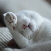 「老姉」実は… ／ 健診も万全じゃない、年金を受け取る直前に…
