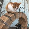 それほど・・スポーツカー好きです！