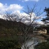 晴れ時々曇り　千代川～篠山