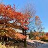 紅葉見物 日光市街地が今見頃