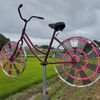 いいものめっけ（涼しいから自転車・・・）