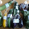 食べチョクで「季節のふもとも野菜セット」をお取り寄せした感想【静岡県】