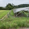 除草作業の効果確認その２