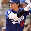 【現役・2024-2025】大谷　翔平（二刀流）2024年版※代理公開【パワナンバー・画像ファイル】