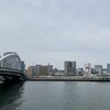 隅田川テラス15キロ：今日は10キロまではまともに走った・・・暑熱順化中
