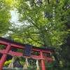 岩戸落葉神社