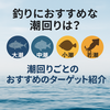 釣りにおすすめな潮回りは？潮回りごとに狙える魚と釣り方を解説！