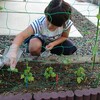 読了：芝生はだいたい全てが青いし、あなたの芝生もすごく青い。