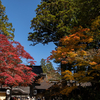 和歌山県の絶景スポット。紅葉の高野山と龍神 護摩壇山。（写真多め）