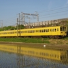 近江鉄道、水田風景を撮る。