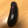 野菜を育てているよ🍆🍆