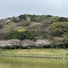 桜と鴉とメンヘラ男