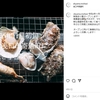 11月に寄島に海鮮焼き小屋「もへじ」さんがオープンするみたい！